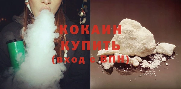 ECSTASY Алзамай