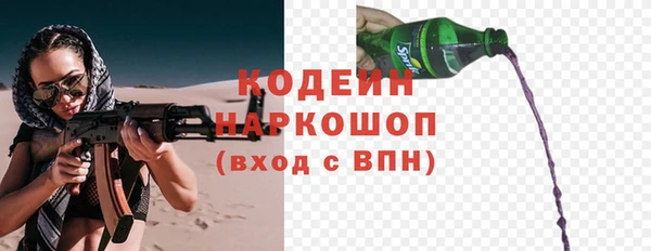 ECSTASY Алзамай