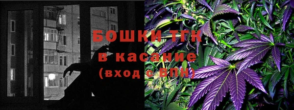 гидра Алексеевка