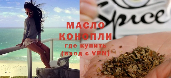 ECSTASY Алзамай